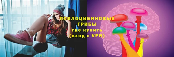 стаф Арсеньев