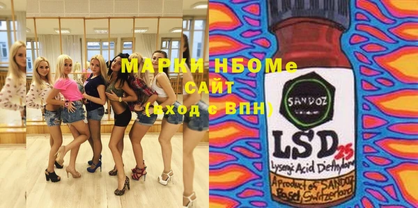 стаф Арсеньев