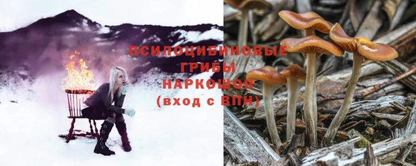 стаф Арсеньев