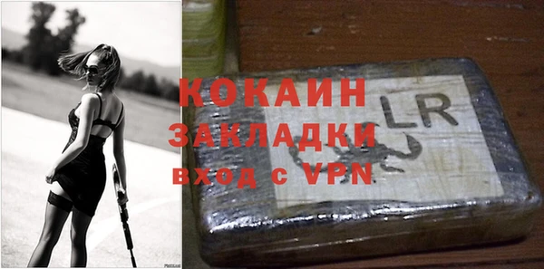 стаф Арсеньев