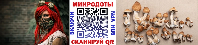 Купить  Сухой Лог  Галлюциногенные грибы прущие грибы 